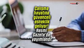 Çalışma hayatına güvenceli esneklik geliyor! Resmi Gazete’de yayımlandı!