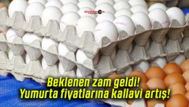 Beklenen zam geldi! Yumurta fiyatlarına kallavi artış!