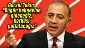 Gürsel Tekin: “Bugün babaevine gideceğiz, herkesi çatlatacağız”