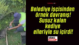 Belediye işçisinden örnek davranış! Susuz kalan kediye elleriyle su içirdi!