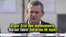 Özgür Özel’den mahkemenin ‘Gürsel Tekin’ kararına ilk tepki!