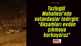 Tuzlugöl Mahallesi’nde vatandaşlar tedirgin: “Akşamları evden çıkmaya korkuyoruz”