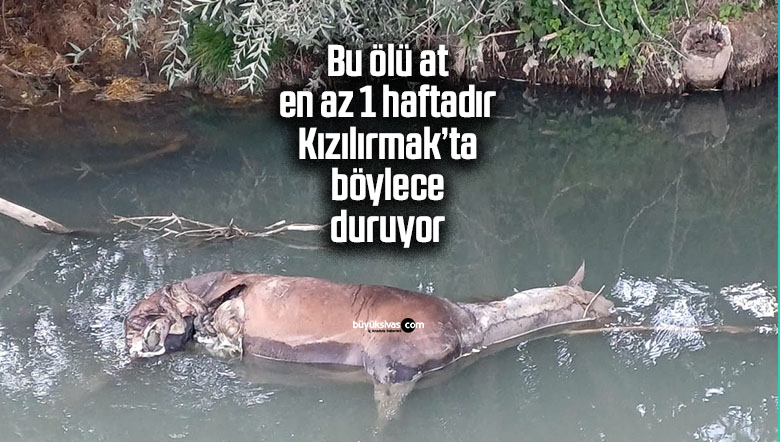 Sivas Zara’da çevreyi tehdit eden üzücü olay!