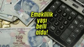 Tamamlayıcı Emeklilik Sistemi’nde detaylar netleşti! Emeklilik yaşı belli oldu!