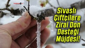 Sivaslı Çiftçilere Zirai Don Desteği Müjdesi!