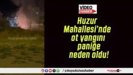 Huzur Mahallesi’nde ot yangını paniğe neden oldu!