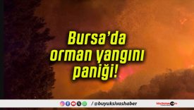 Bursa’da orman yangını paniği! 