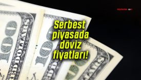 Serbest piyasada döviz fiyatları!