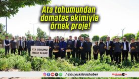 Ata tohumundan domates ekimiyle örnek proje!