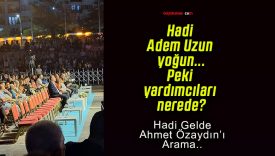 Sivas’ta 4 Eylül şenliklerinde protokol ilgisizliği!