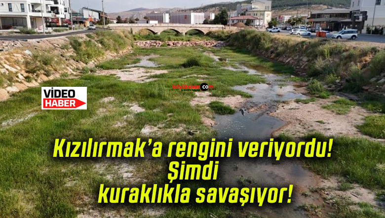 Kızılırmak’a rengini veriyordu! Şimdi kuraklıkla savaşıyor!