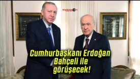 Cumhurbaşkanı Erdoğan Bahçeli ile görüşecek!