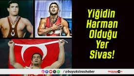 Yiğidin Harman Olduğu Yer Sivas!