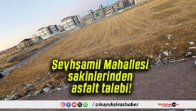 Şeyhşamil Mahallesi sakinlerinden asfalt talebi!