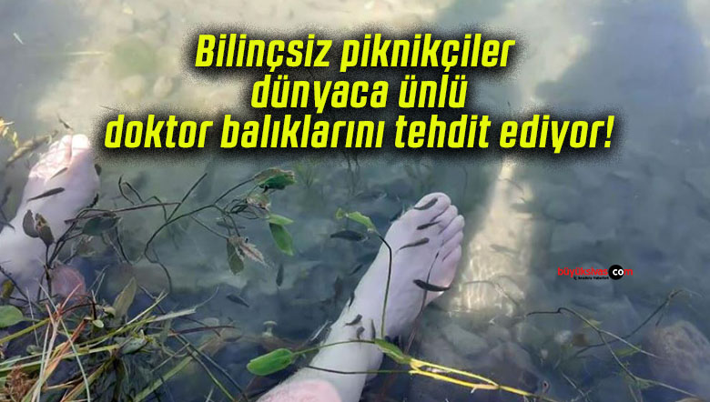 Bilinçsiz piknikçiler dünyaca ünlü doktor balıklarını tehdit ediyor!