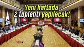 Yeni haftada 2 toplantı yapılacak!
