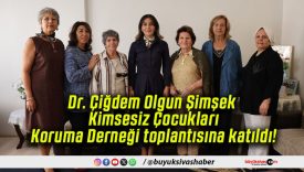 Dr. Çiğdem Olgun Şimşek Kimsesiz Çocukları Koruma Derneği toplantısına katıldı!