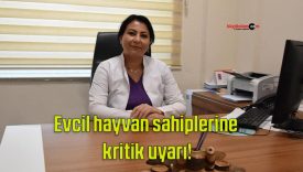 Evcil hayvan sahiplerine kritik uyarı!