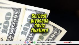 Serbest piyasada döviz fiyatları!