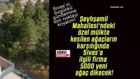 Şeyhşamil Mahallesi‘ndeki özel mülkte kesilen ağaçların karşılığında Sivas’a ilgili firma 5000 yeni ağaç dikecek!