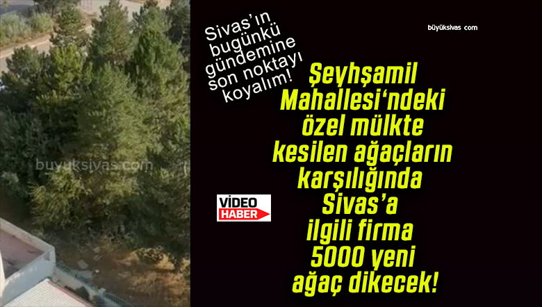 Şeyhşamil Mahallesi‘ndeki özel mülkte kesilen ağaçların karşılığında Sivas’a ilgili firma 5000 yeni ağaç dikecek!