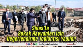 Sivas’ta Sokak Hayvanları İçin Değerlendirme Toplantısı Yapıldı!