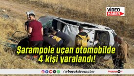 Şarampole uçan otomobilde 4 kişi yaralandı!