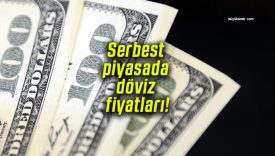 Serbest piyasada döviz fiyatları!