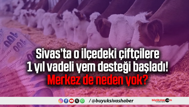 Sivas o ilçedeki çiftçilere 1 yıl vadeli yem desteği başladı! Merkez de neden yok?