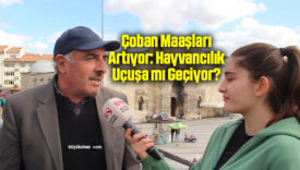 Çoban Maaşları Artıyor: Hayvancılık Uçuşa mı Geçiyor?