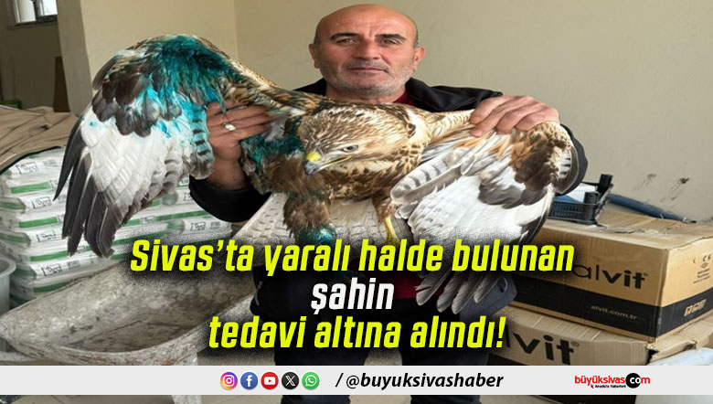 alınas