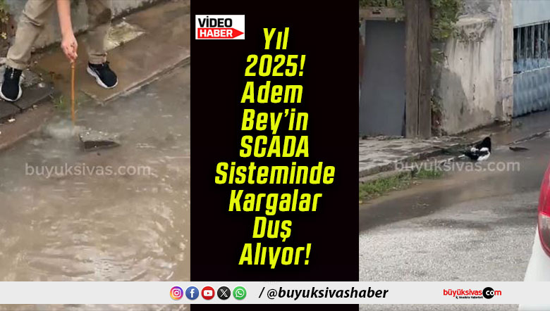 alıyors