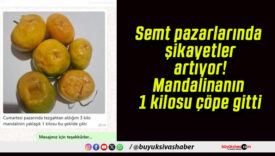 Semt pazarlarında şikayetler artıyor! Mandalinanın 1 kilosu çöpe gitti