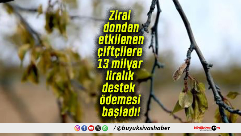 Zirai dondan etkilenen çiftçilere 13 milyar liralık destek ödemesi başladı!