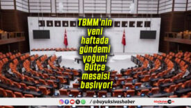 TBMM’nin yeni haftada gündemi yoğun! Bütçe mesaisi başlıyor!