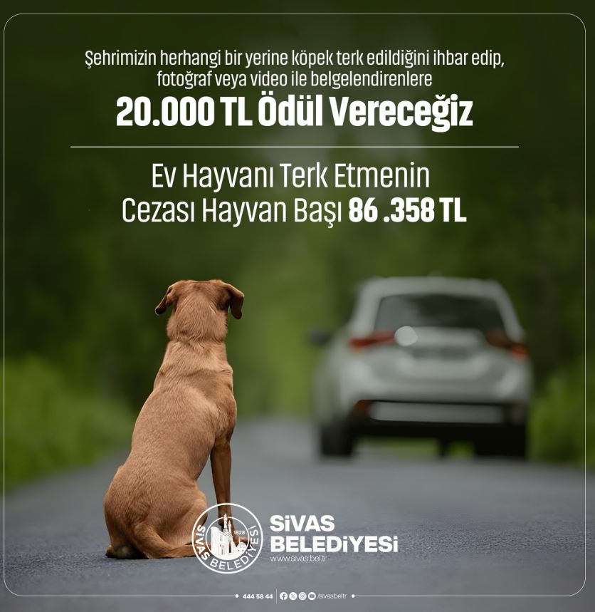 Belediye Açıkladı! Sivas’ta Bunu Yaparsanız 86.358-TL Ceza Yiyeceksiniz!