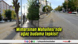 Mimarsinan Mahallesi’nde ağaç budama tepkisi!
