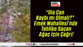 “İlla Can Kaybı mı Olmalı?” Emek Mahallesi’nde Tehlike Saçan Ağaç İçin Çağrı!