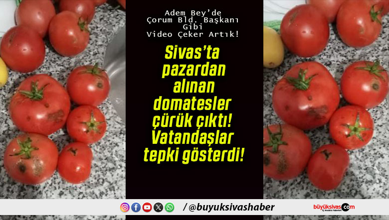 çekers