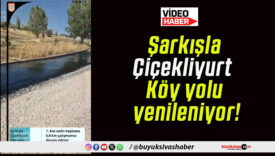 Şarkışla Çiçekliyurt Köy yolu yenileniyor!