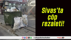Sivas’ta çöp rezaleti!