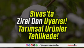 Sivas’ta Zirai Don Uyarısı! Tarımsal Ürünler Tehlikede!