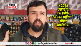 Köpek sandığı ayı çıktı! “Koca oğlan” diye seslendi!