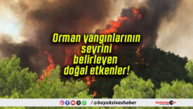 Orman yangınlarının seyrini belirleyen doğal etkenler!