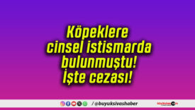 Köpeklere cinsel istismarda bulunmuştu! İşte cezası!
