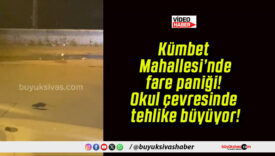 Kümbet Mahallesi’nde fare paniği! Okul çevresinde tehlike büyüyor!