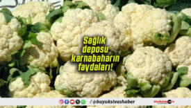 Sağlık deposu karnabaharın faydaları!