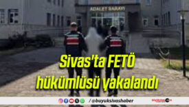 Sivas’ta FETÖ hükümlüsü yakalandı