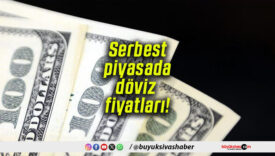 Serbest piyasada döviz fiyatları!