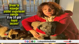 Sivas’ta köpeğe şiddet uygulayan sanığa 6 ay 10 gün hapis cezası!